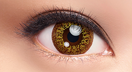 Product_Details_Color_Vivid_Gold_Eye