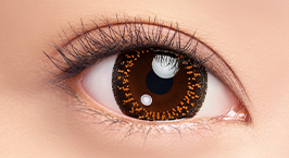 Product_Details_Dazzle_Twinkling_Bronze_Eye